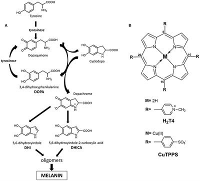 En Route to a Chiral Melanin: The Dynamic “From-Imprinted-to-Template” Supramolecular Role of Porphyrin Hetero-Aggregates During the Oxidative Polymerization of L-DOPA